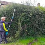 Preserve Mature Trees with tree surgeon Heald Green Professional Care