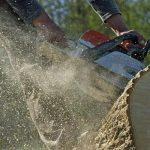 Tree Removal Service Mobile with Exceptional Customer Care