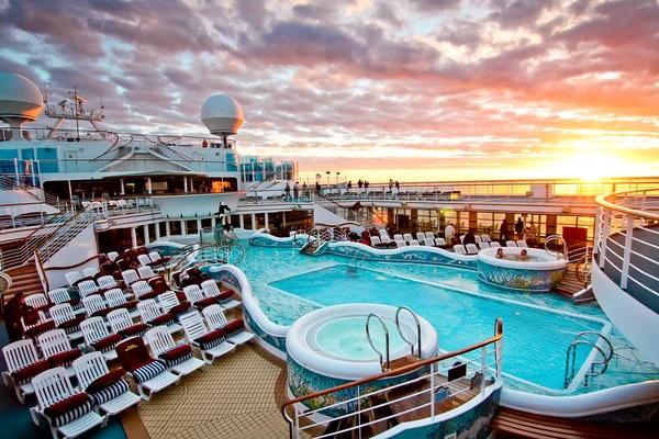 Wildlife Encounters to Look Forward to on a cruise to antartica