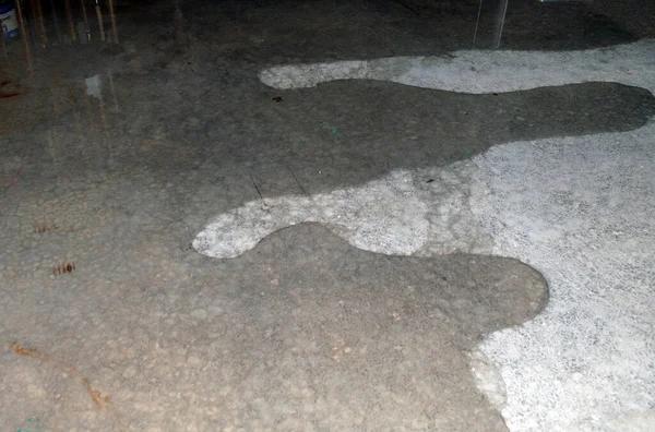 Residential Crawl Space Repair in Prince George for Homeowners